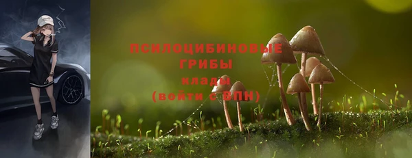 трава Зерноград